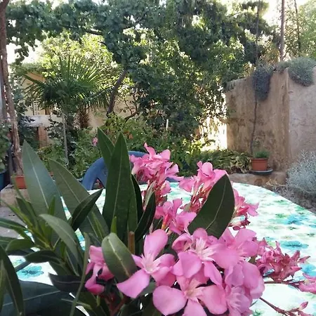 Sara's Garden *