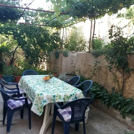 Sara's Garden