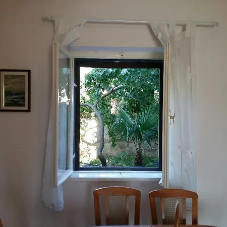 Sara's Garden