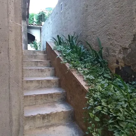 Sara's Garden *